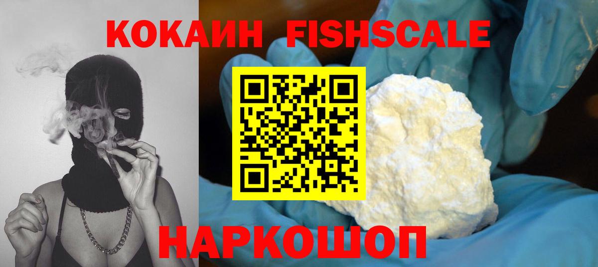 Кокаин  Вход с VPN  Камышлов  Кокаин FishScale 