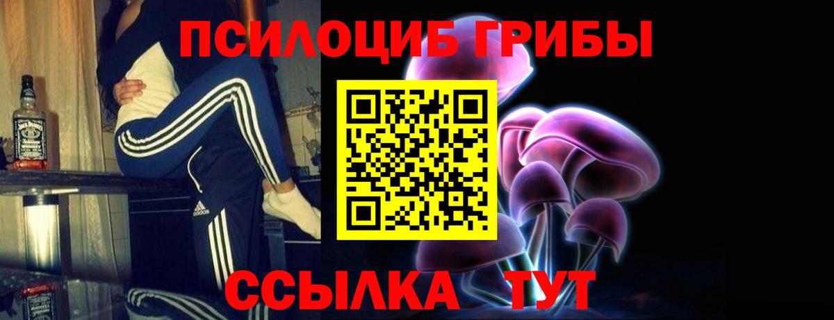 купить   Галлюциногенные грибы ЛСД  Псилоцибиновые грибы мухоморы  Вход с VPN  Камышлов 